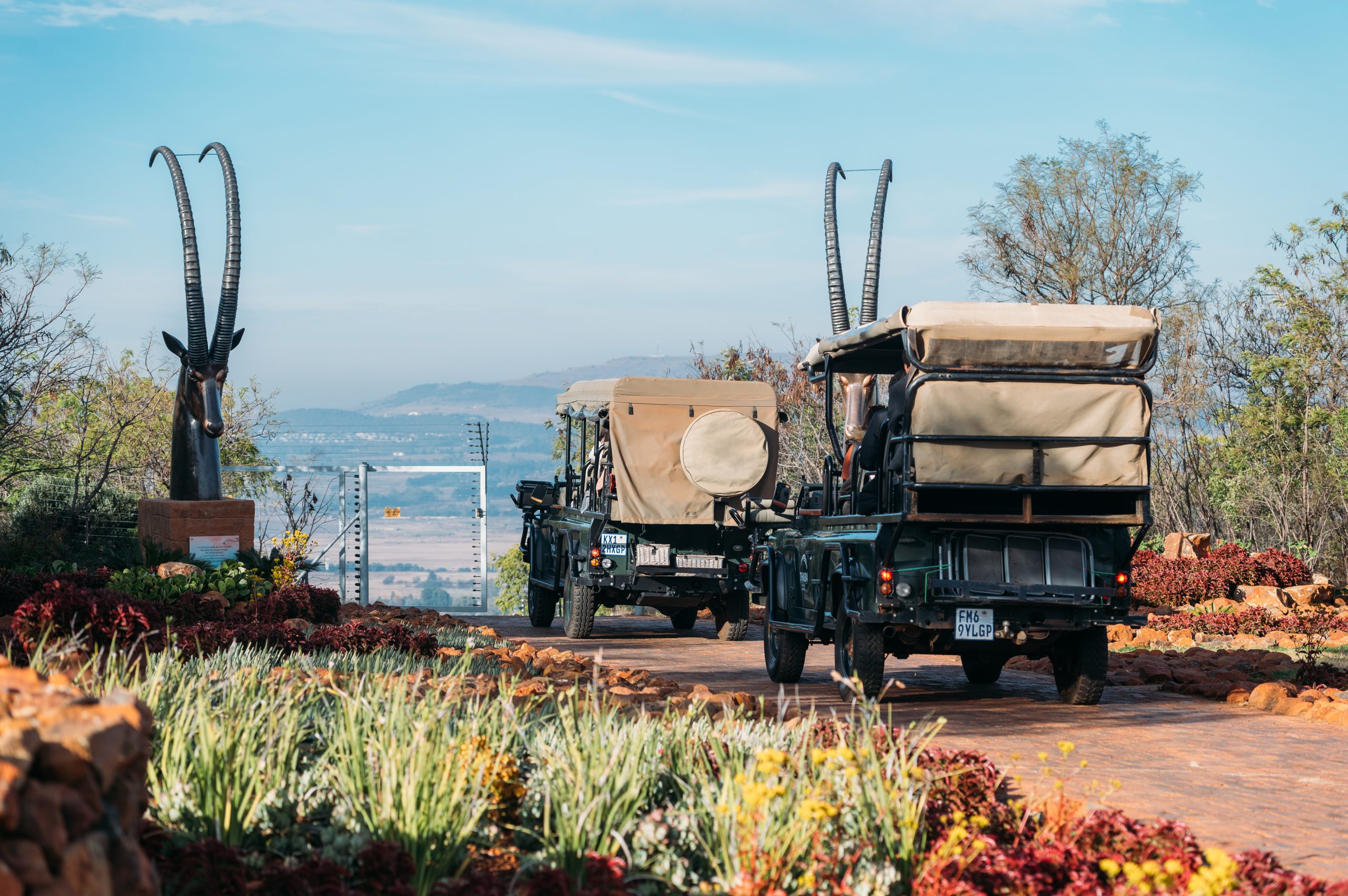 Game Drives at Thaba Eco Hotel